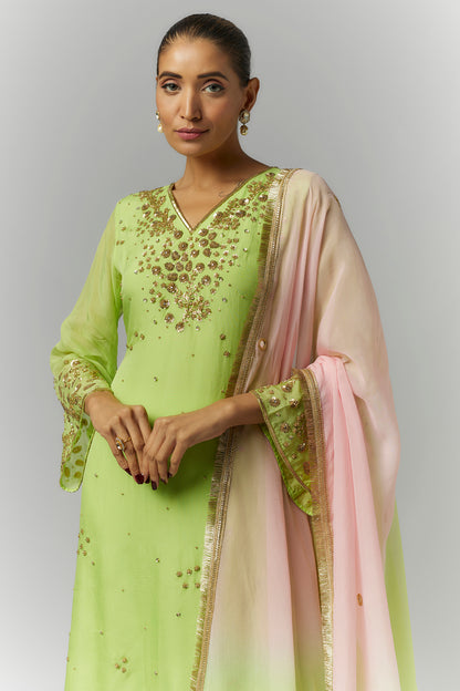 Parrot Green Organza Kurta Set