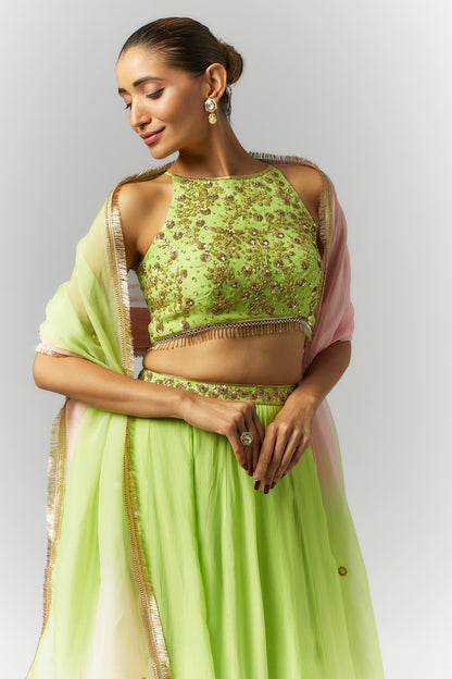 Parrot Green Lehenga Set